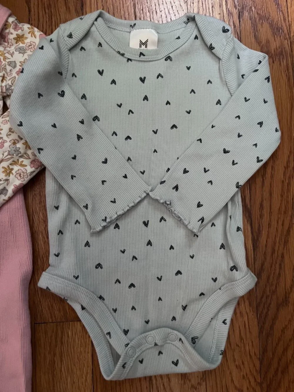 Baby Girl Long Sleeve Spring Sets, Hearts & Bunnies, 9 Months